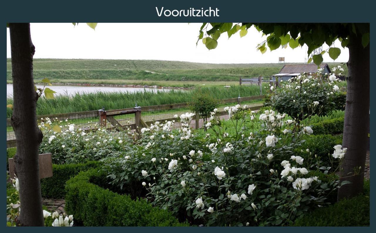 Vakantiewoning Deltahof Ellewoutsdijk Exterior foto
