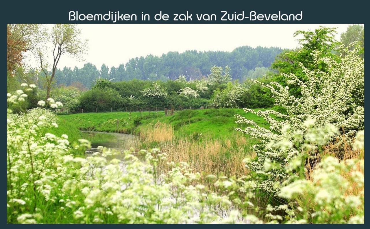 Vakantiewoning Deltahof Ellewoutsdijk Exterior foto
