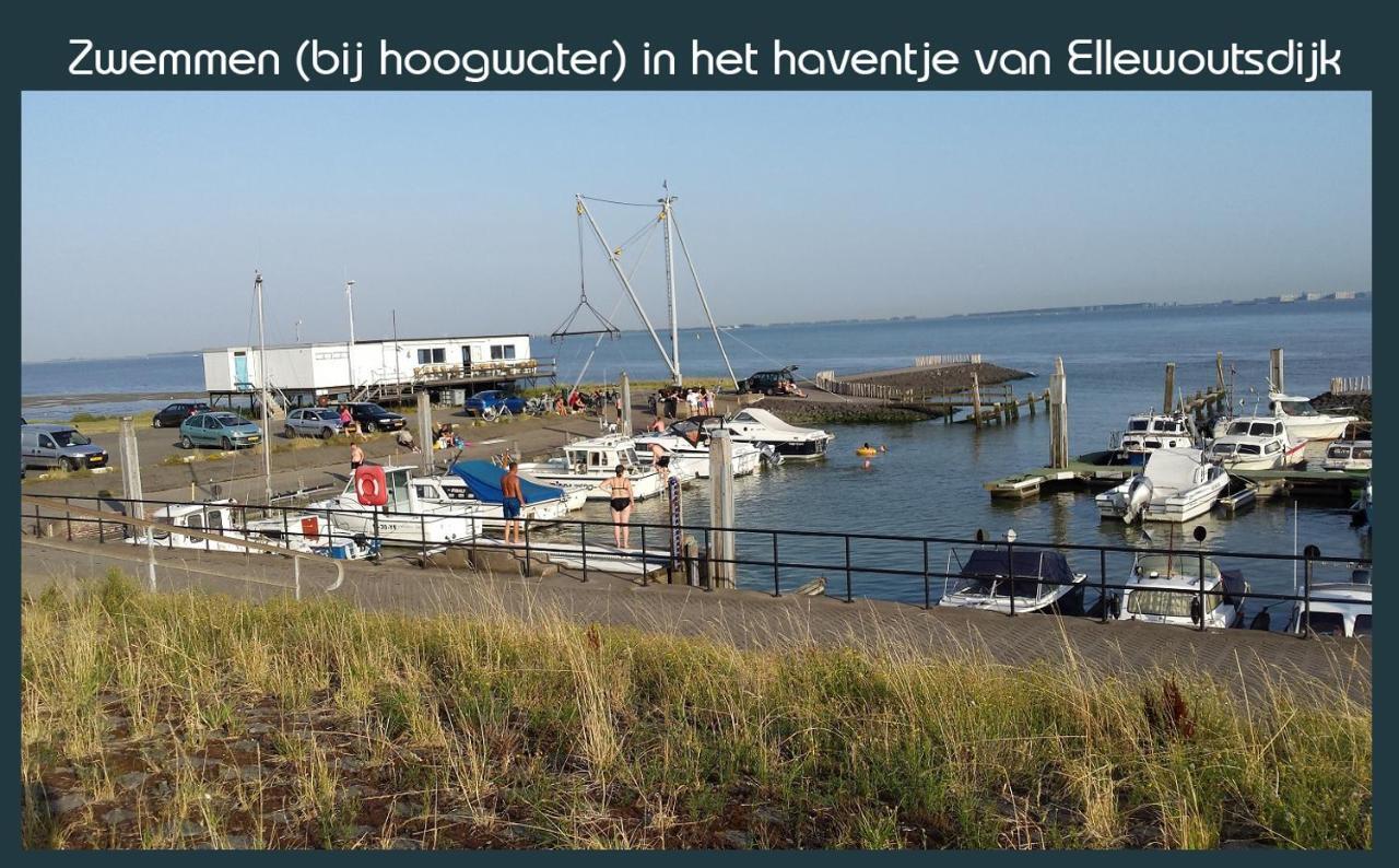 Vakantiewoning Deltahof Ellewoutsdijk Exterior foto