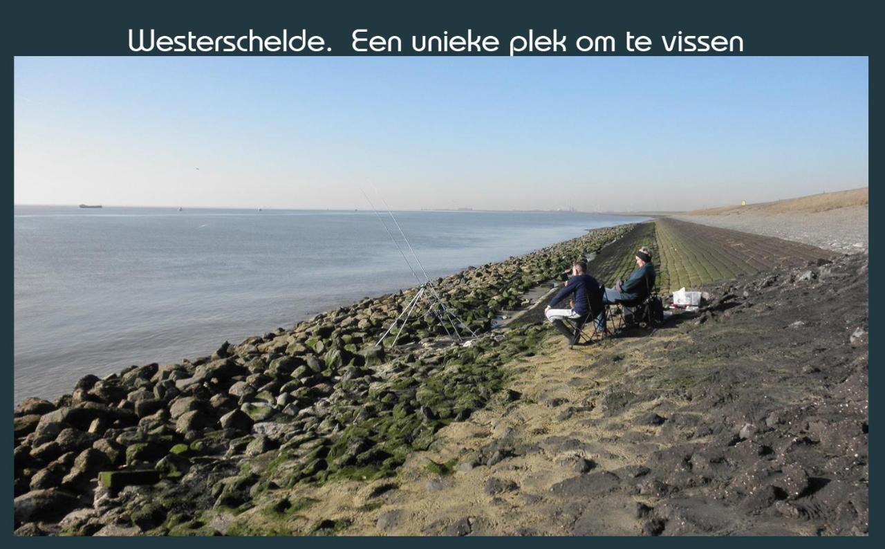 Vakantiewoning Deltahof Ellewoutsdijk Exterior foto